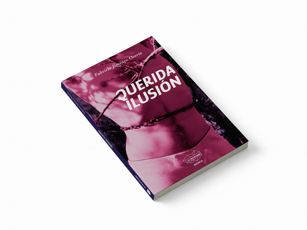 Querida ilusión. Portada Segunda Edición. Fabricio Jiménez Osorio. La Cascotiada Editorial. Tucumán, Argentina. 2025.