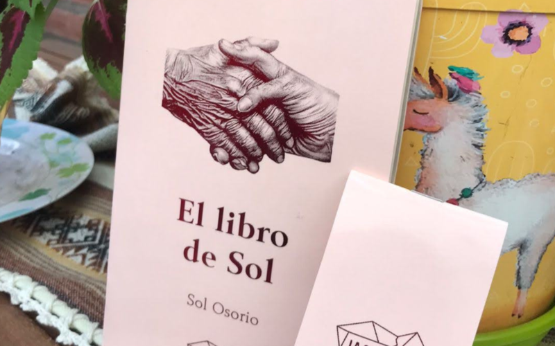 Poética del Acompañar: una reseña de El Libro de Sol para La Nota Tucumán, La Cascotiada 2023.